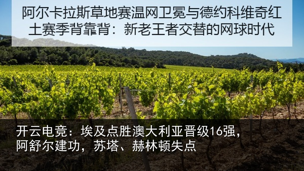 开云电竞:埃及相关情况16强阿相关情况顿失点