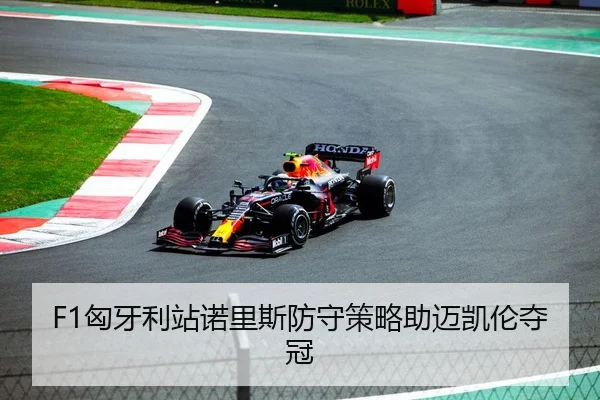 F1匈牙利站诺里斯防守策略助迈凯伦夺冠